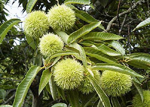 Seishokan Higashine Ngoại thất bức ảnh